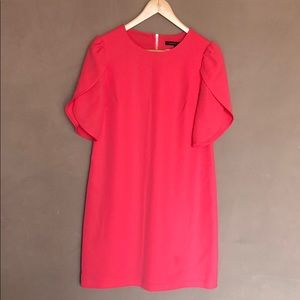 Cynthia Steffe Women’s Dress 👗